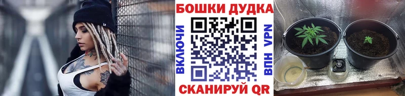 Купить ГАШИШ  Канабис  Псилоцибиновые грибы  МЕФ  Заинск
