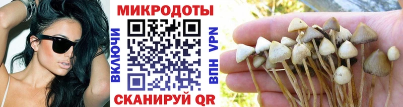 Галлюциногенные грибы GOLDEN TEACHER  Купить закладки  Заинск 