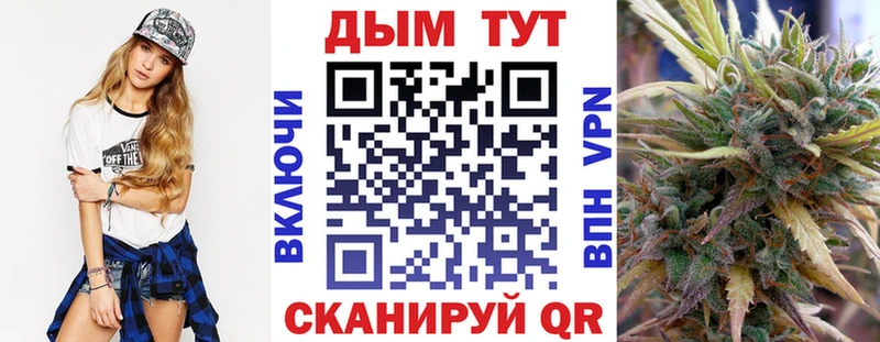 Купить  Заинск  Шишки марихуана SATIVA & INDICA 